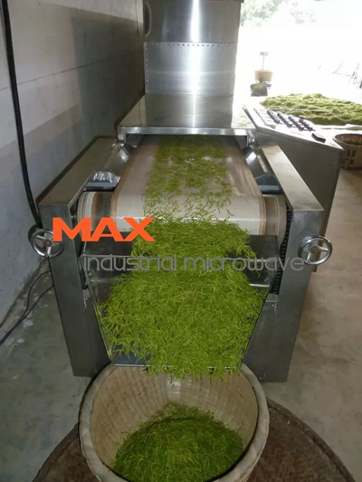 Tea Fixation and Drying Machine